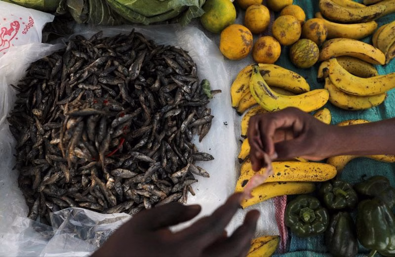 Kenya Proposes Innovative Financing for Food Security