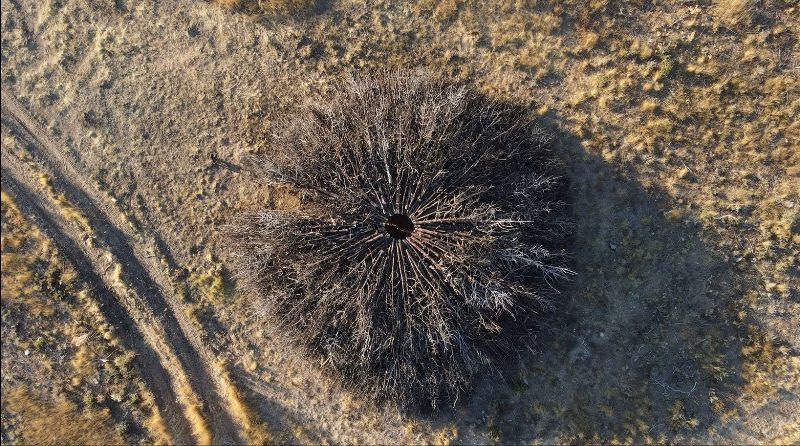 Art unleashed: A global project turns city streets into playful canvas