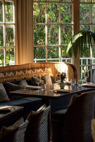 Amura by Ángel León MNH REST 01122025 68 (1)