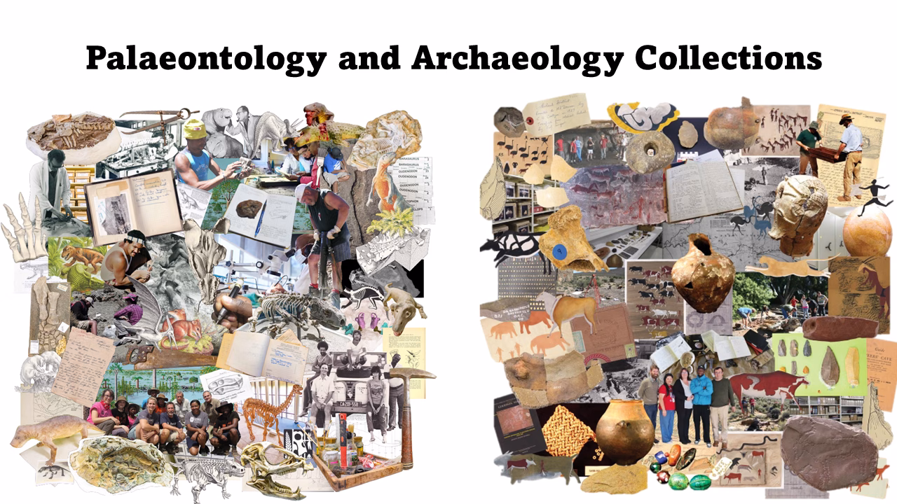 Iziko Museums of SA collections