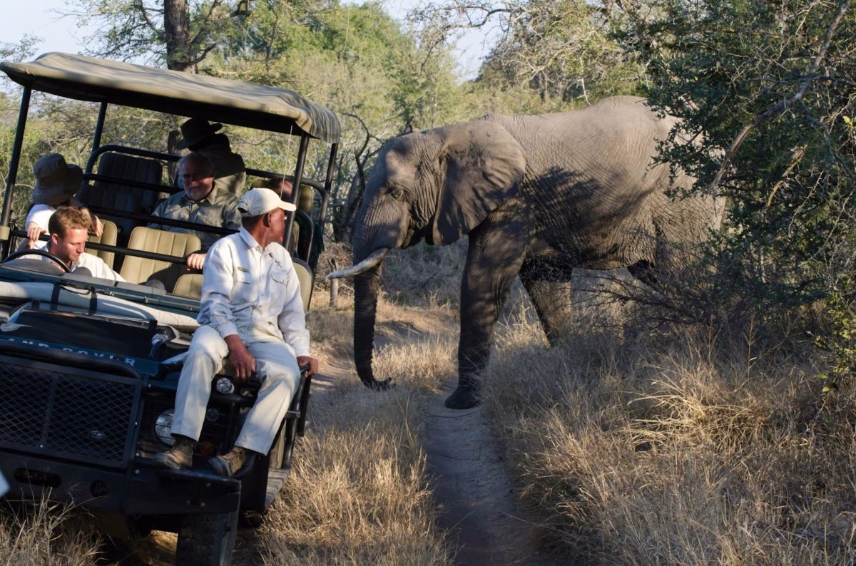 Ruaha National Park: Tanzania’s Most Secluded Safari Destination